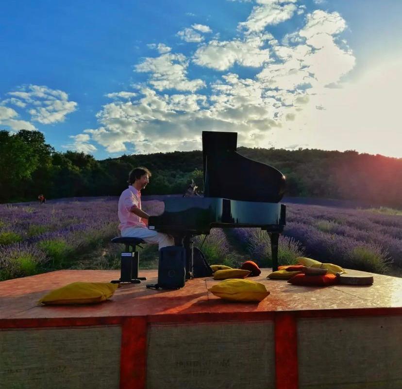 Emiliano Toso in concerto